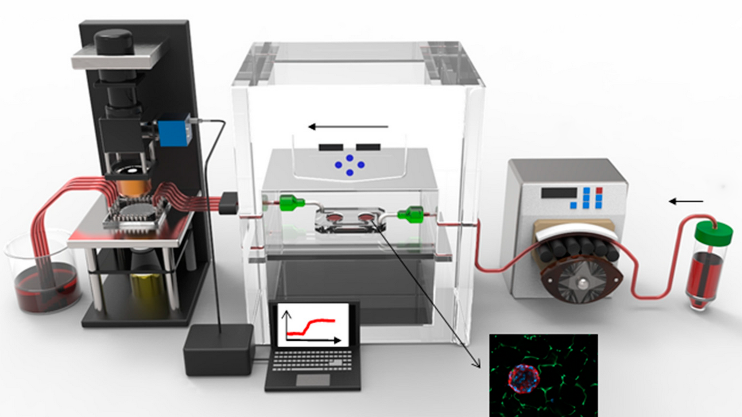 News – Nanophotonic Systems Laboratory | ETH Zurich