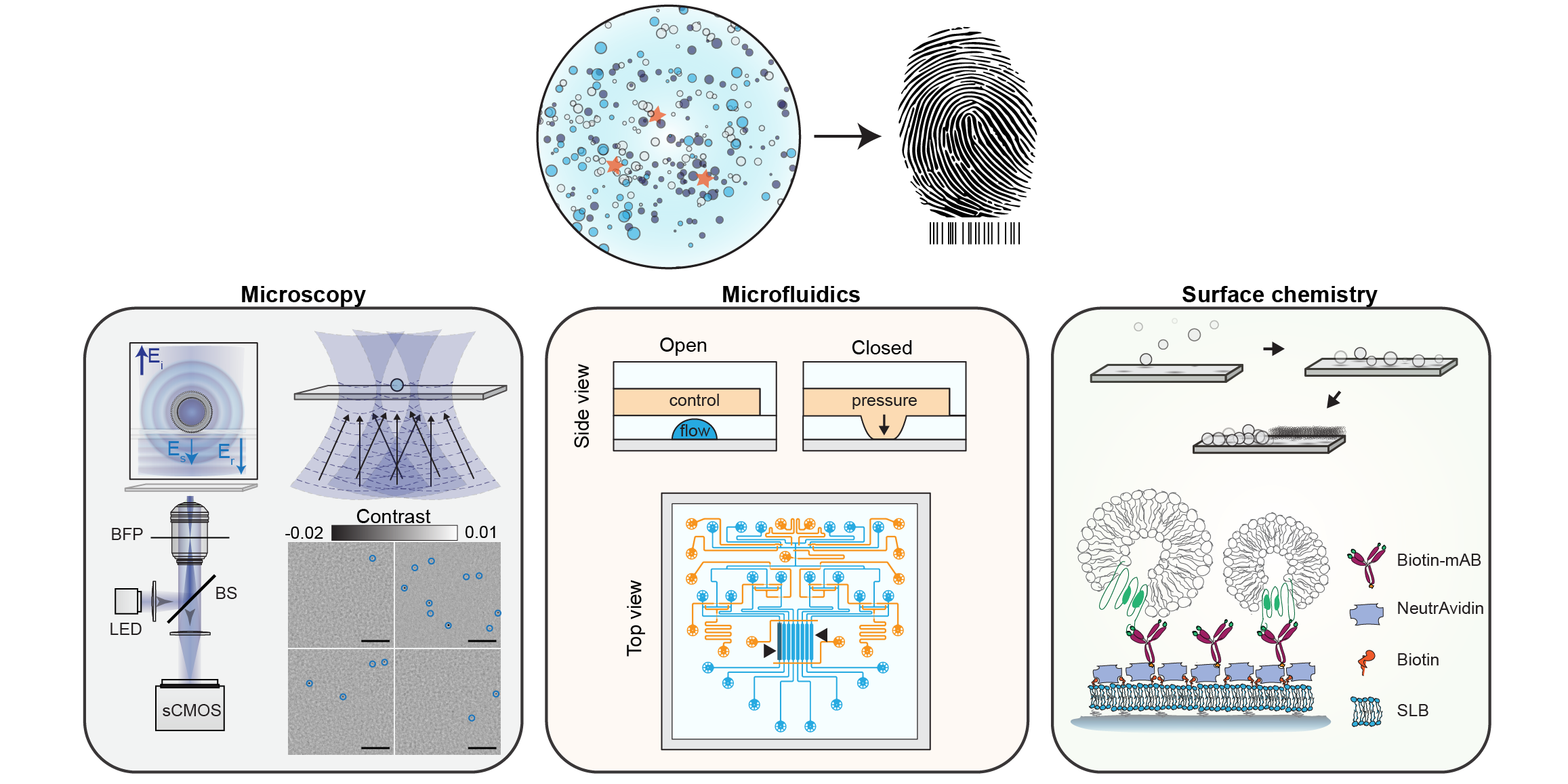 Optofluidic platform for molecular fingerprinting