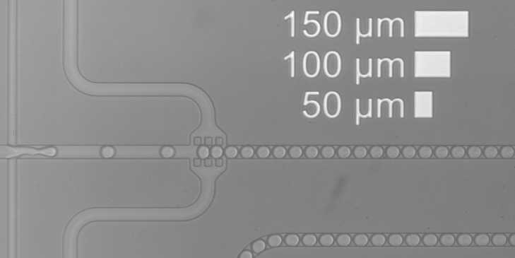 Bionanophotonics – Nanophotonic Systems Laboratory | ETH Zurich